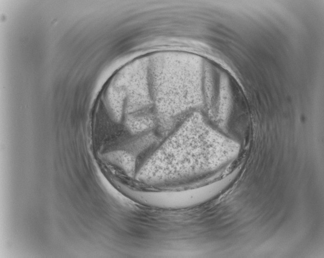 X0000070191531200606161538