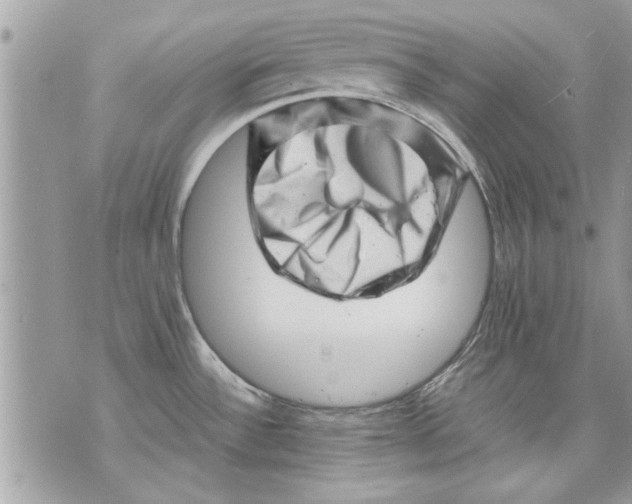 X0000070191532200606161538