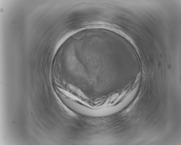 X0000070191533200606161538