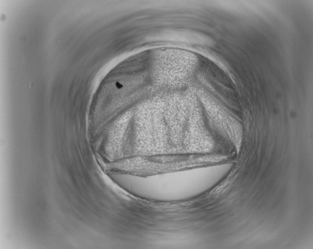 X0000070191535200606161538