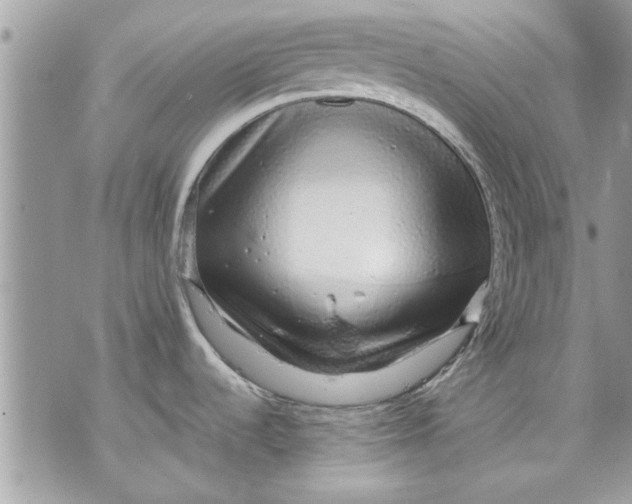 X0000070191536200606161538