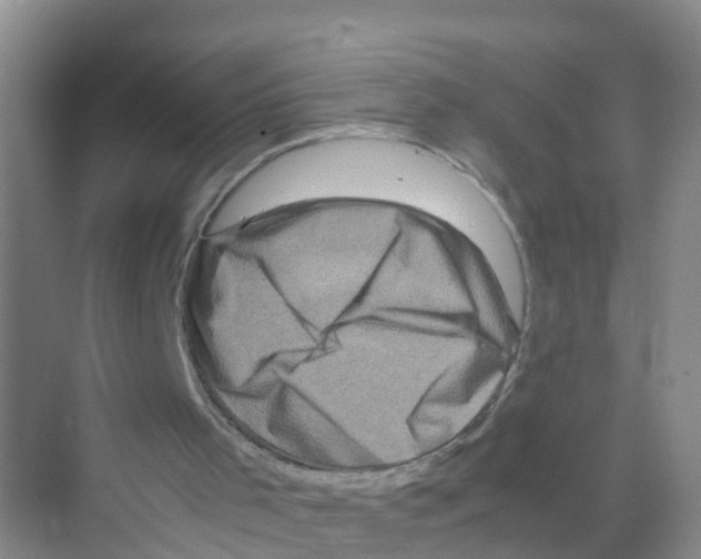 X0000070190001200606232025