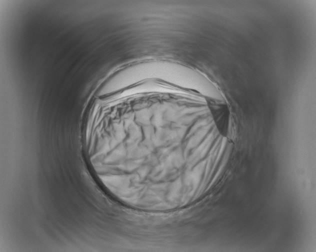 X0000070190002200606232025