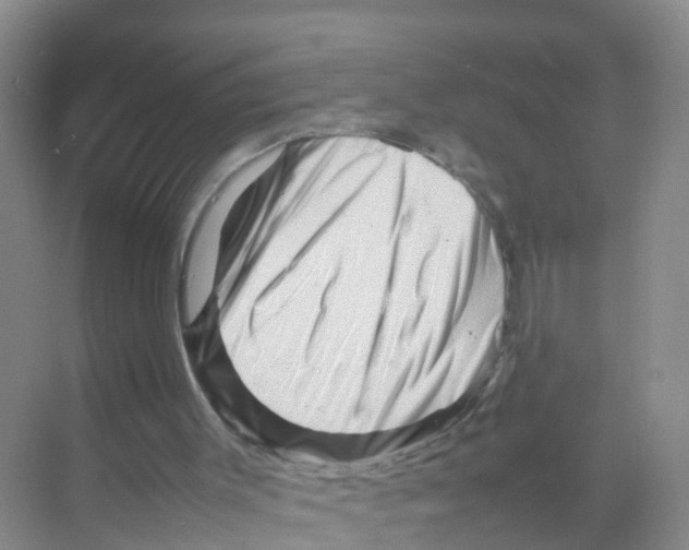 X0000070190003200606232025