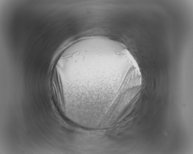 X0000070190004200606232025