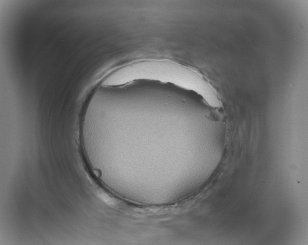 X0000070190005200606232025