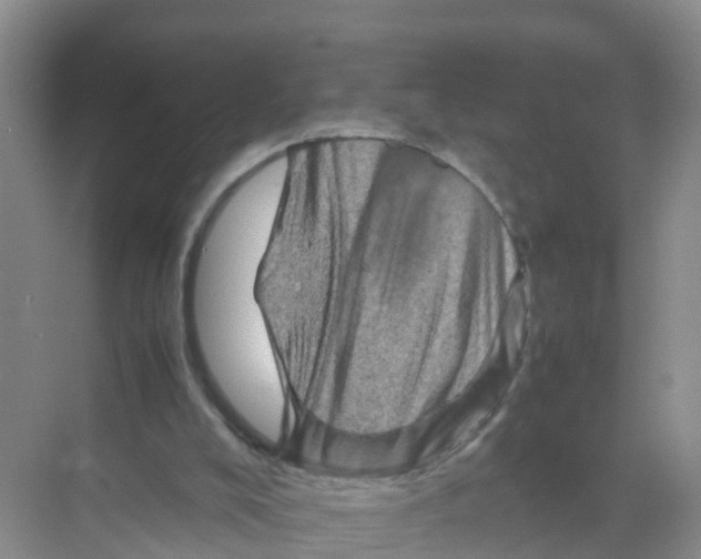 X0000070190008200606232025