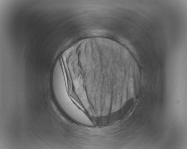 X0000070190010200606232024