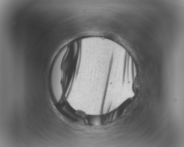 X0000070190011200606232024