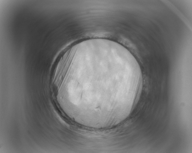 X0000070190012200606232024