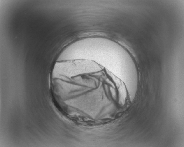 X0000070190013200606232024