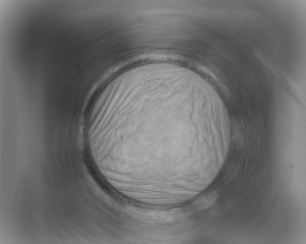 X0000070190016200606232024