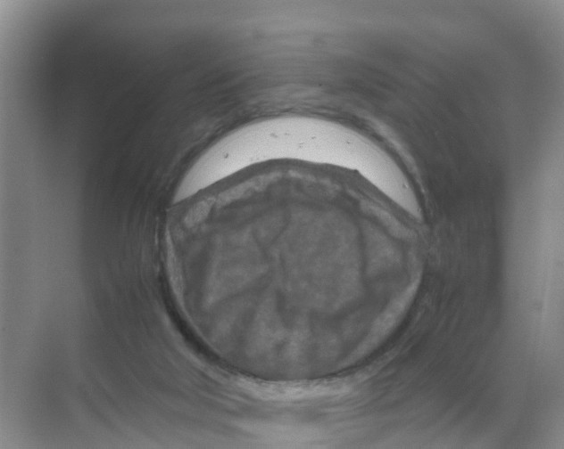 X0000070190018200606232024