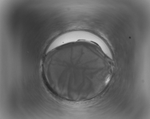 X0000070190019200606232024