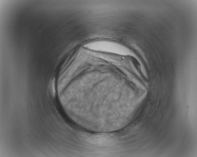 X0000070190020200606232024