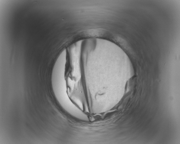 X0000070190021200606232024