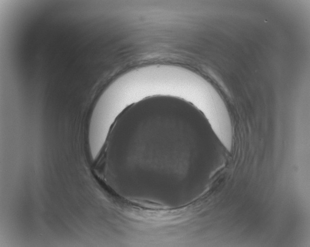 X0000070190023200606232024