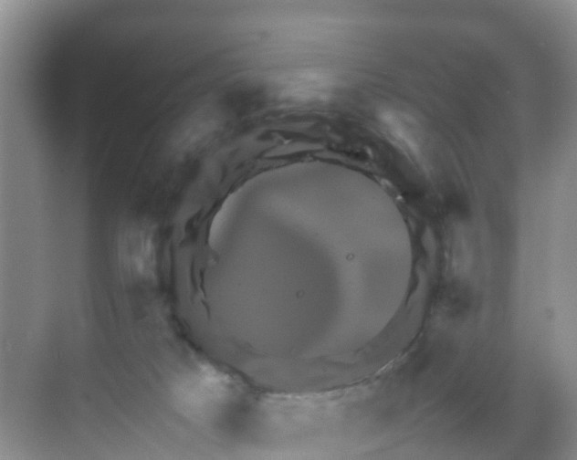 X0000070190025200606232024