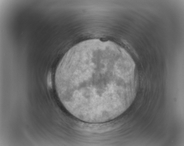 X0000070190026200606232024