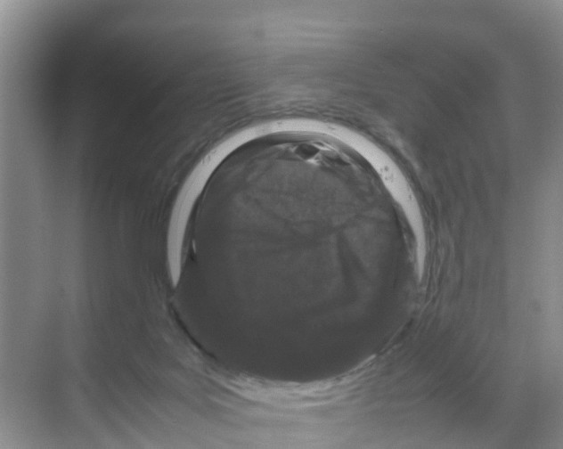 X0000070190027200606232024