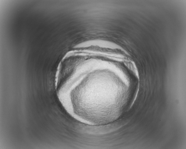 X0000070190030200606232024