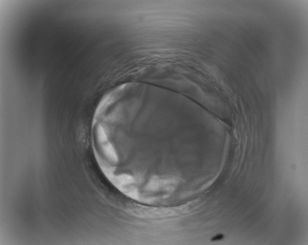 X0000070190031200606232024