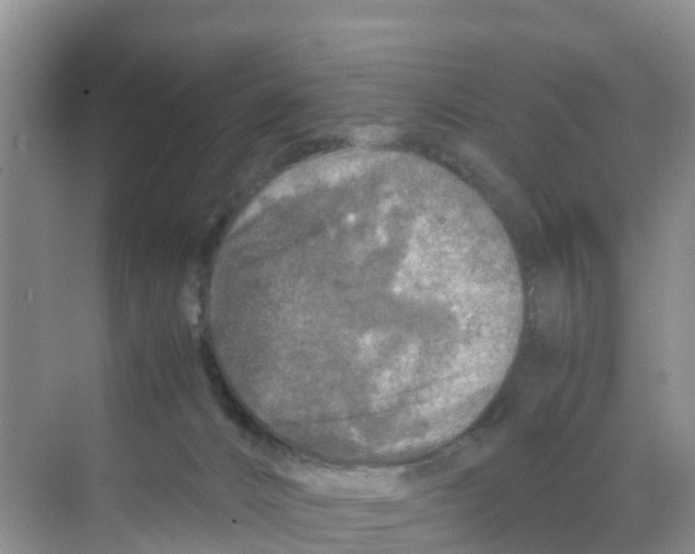 X0000070190032200606232024