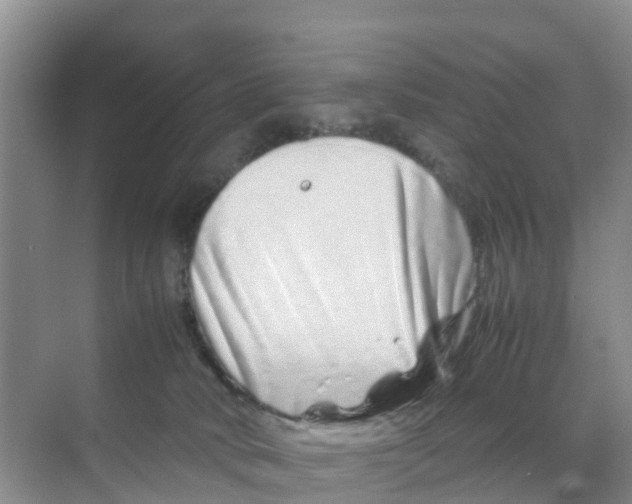 X0000070190034200606232024