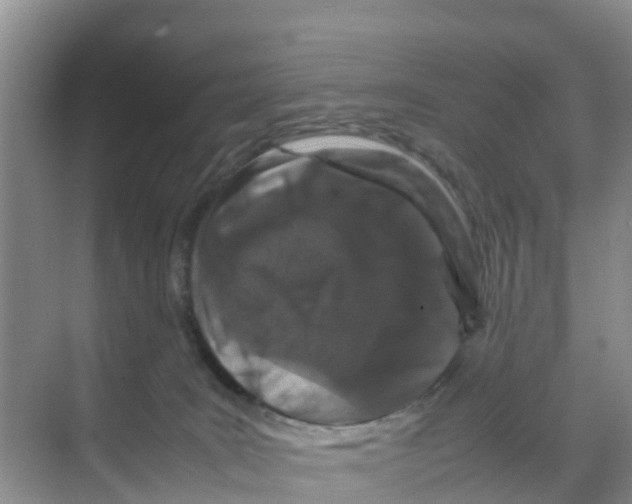 X0000070190035200606232024