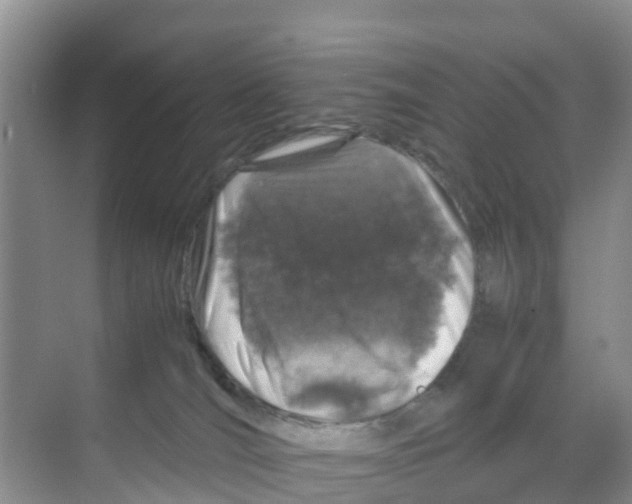 X0000070190036200606232024