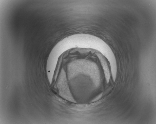 X0000070190037200606232024