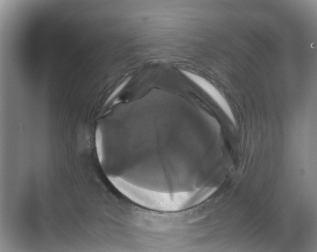 X0000070190039200606232024