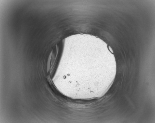 X0000070190040200606232024