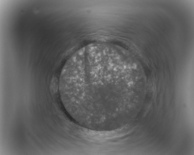 X0000070190043200606232024