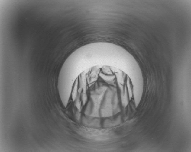 X0000070190044200606232024