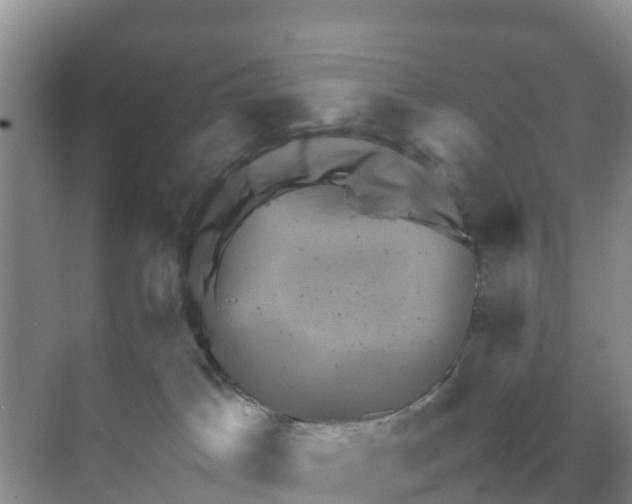 X0000070190045200606232024