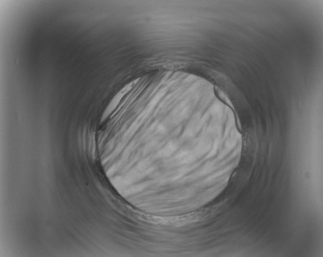 X0000070190046200606232024