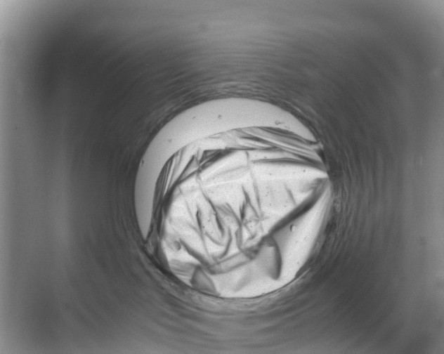 X0000070190047200606232024