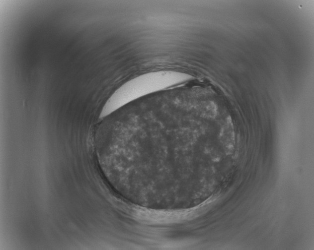 X0000070190048200606232024