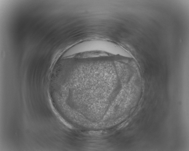 X0000070190049200606232023