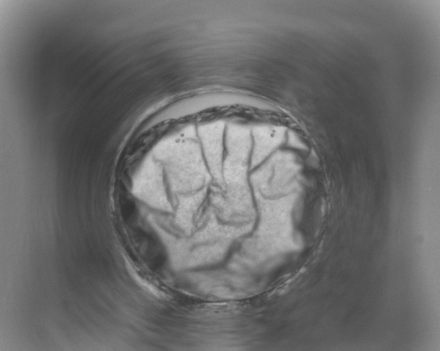 X0000070190050200606232023