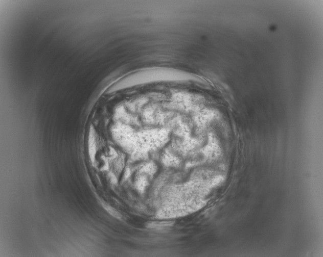 X0000070190051200606232023