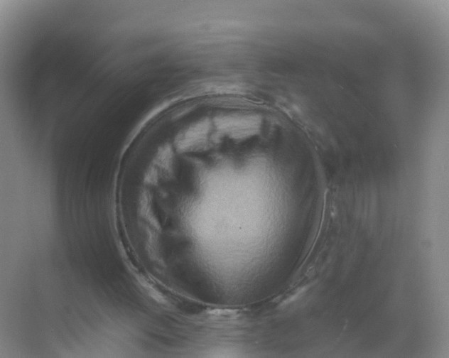 X0000070190052200606232023