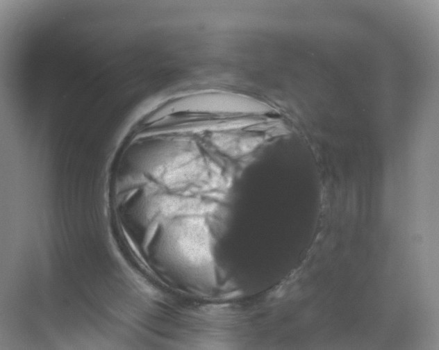 X0000070190054200606232023