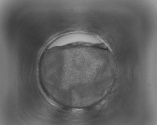 X0000070190055200606232023