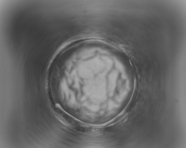 X0000070190056200606232023