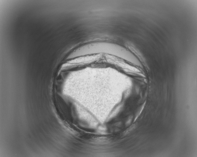 X0000070190058200606232023