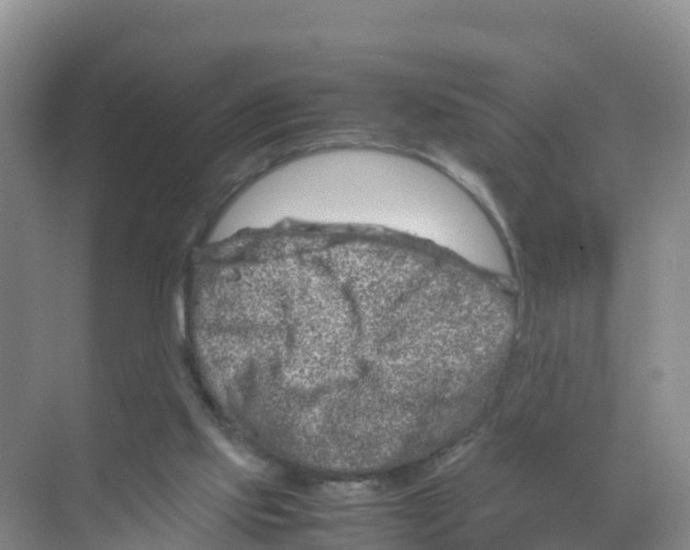 X0000070190061200606232023