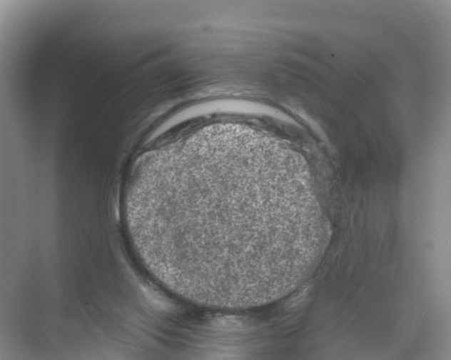 X0000070190062200606232023