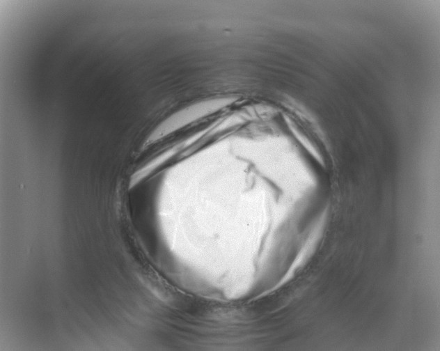 X0000070190065200606232023